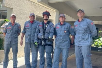 Bombeiros salvam bem-te-vi