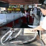 ponto do pescado