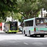 Divulgação / PMSJC