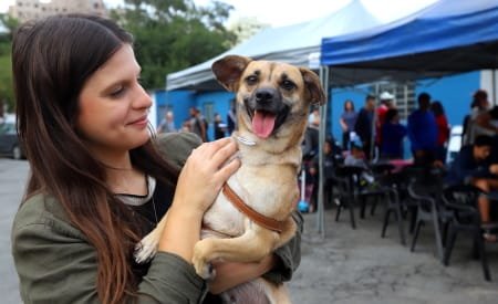 Jacareí abre inscrições para Conselho de Bem-Estar Animal
