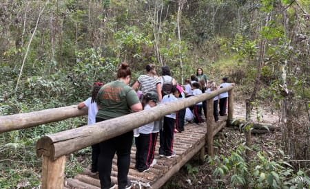 Viveiro de Jacareí promove trilhas e oficinas ambientais neste domingo