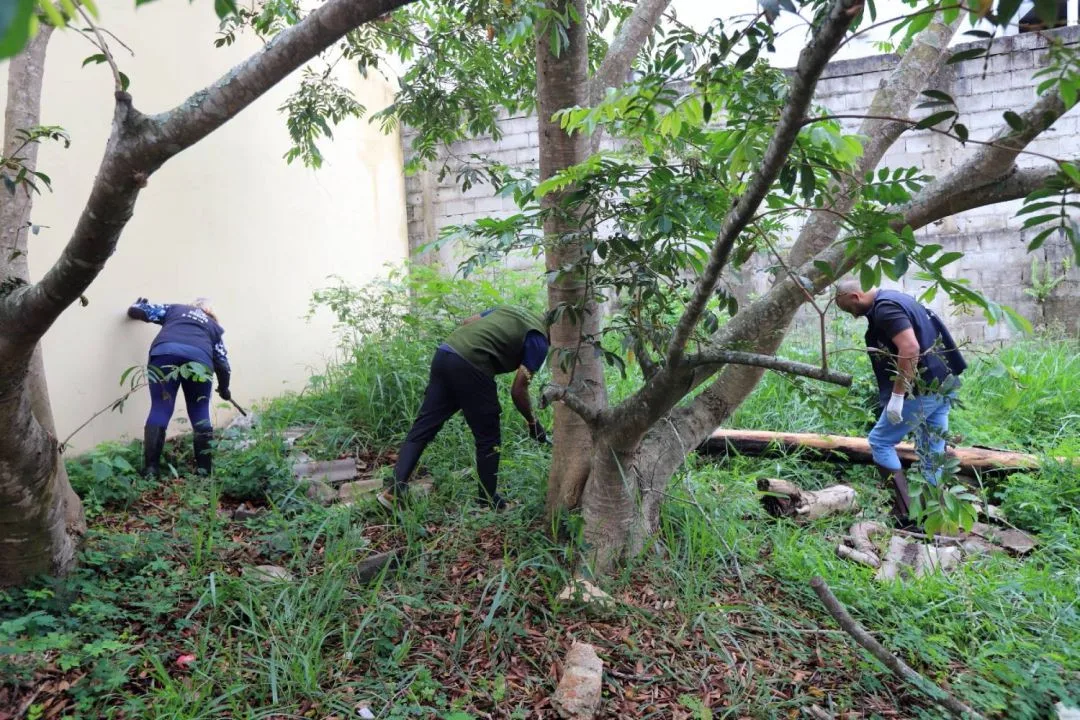 Jacareí intensifica buscas por escorpiões em agosto