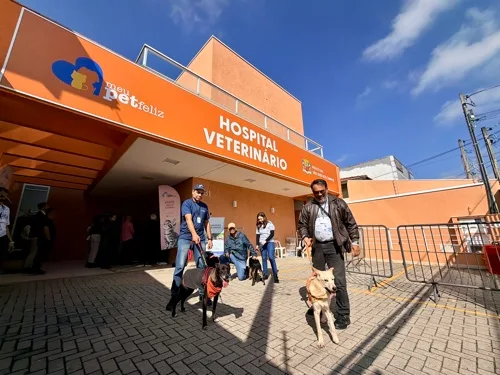 Hospital Veterinário de São José inicia vacinação e microchipagem