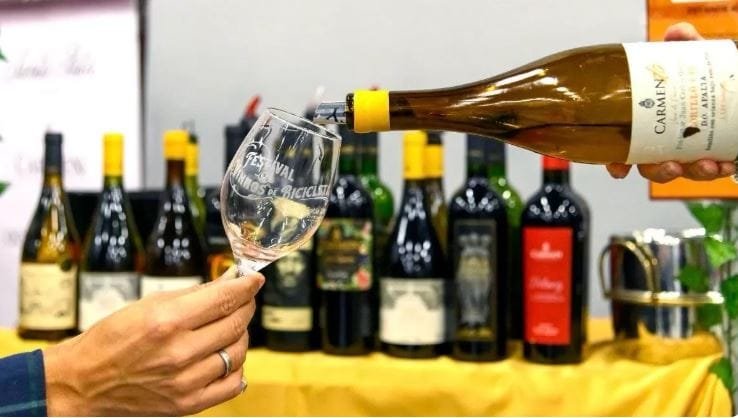 Festival reúne mais de 400 rótulos de vinhos em São José
